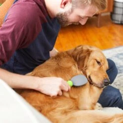 Frisco Cat & Dog Pin Brush 9 Frisco Cat & Dog Pin Brush -Pet Wellness 206861 PT6. AC SS1800 V1680186099