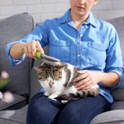 Frisco Cat & Dog Pin Brush 10 Frisco Cat & Dog Pin Brush -Pet Wellness 206861 PT7. AC SS1800 V1680186386