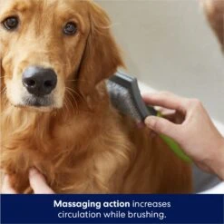 Frisco Self-Cleaning Slicker Dog Brush -Pet Wellness 206863 PT5. AC SS1800 V1680186156