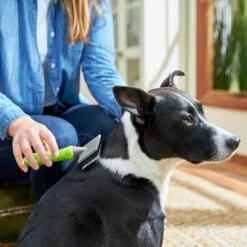 Frisco Soft Slicker Dog Brush, One Size -Pet Wellness 206869 PT4. AC SS1800 V1680186388