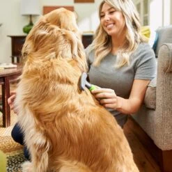 Frisco Shedding Rake Dog & Cat Brush 8 Frisco Shedding Rake Dog & Cat Brush -Pet Wellness 206871 PT6. AC SS1800 V1680186390