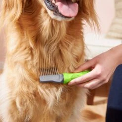 Frisco Dematting Dog Rake, One Size -Pet Wellness 206873 PT6. AC SS1800 V1680186104