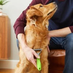 Frisco Dematting Double-Sided Dog & Cat Rake -Pet Wellness 206875 PT6. AC SS1800 V1680186444