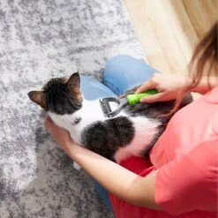 Frisco Dematting Double-Sided Dog & Cat Rake -Pet Wellness 206875 PT7. AC SS1800 V1680186159