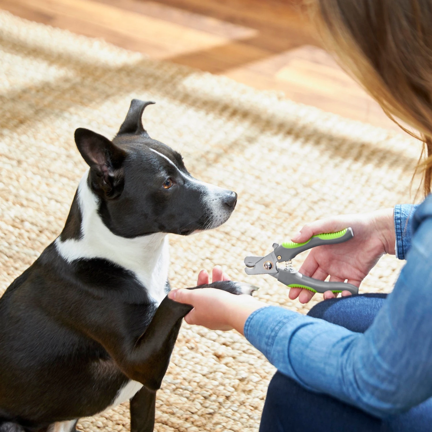 Frisco Dog Nail Trimmer 3 Frisco Dog Nail Trimmer - Image 3