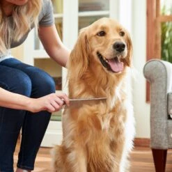 Frisco Metal Dog & Cat Comb -Pet Wellness 206882 PT6. AC SS1800 V1680186160