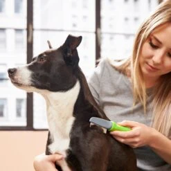 Frisco Single-Row Flea Comb For Cats & Dogs -Pet Wellness 206884 PT4. AC SS1800 V1680186103