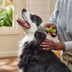 Frisco Double-Row Flea Comb For Cats & Dogs -Pet Wellness 206886 PT3. AC SS1800 V1680186388