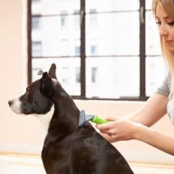 Frisco Deshedding Dog & Cat Brush -Pet Wellness 206892 PT6. AC SS1800 V1680186216