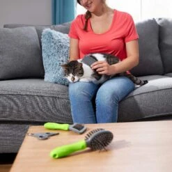 Frisco Beginner Grooming Kit For Dogs And Cats 15 Frisco Beginner Grooming Kit For Dogs And Cats -Pet Wellness 206909 PT6. AC SS1800 V1680186162