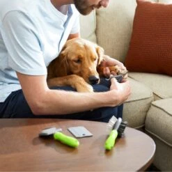 Frisco Beginner Grooming Kit For Dogs And Cats 16 Frisco Beginner Grooming Kit For Dogs And Cats -Pet Wellness 206909 PT7. AC SS1800 V1680186156