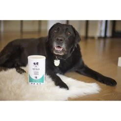 HAPPYBOND Happy Again Hip & Joint Support Dog Supplement -Pet Wellness 207399 PT4. AC SS1800 V1572449388