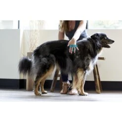 PetWell Massaging Dog & Cat Grooming Brush -Pet Wellness 207627 PT2. AC SS1800 V1572365003