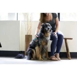 PetWell Massaging Dog & Cat Grooming Brush -Pet Wellness 207627 PT4. AC SS1800 V1572365008