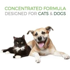 Pet Vitamin Co Medicated Dog & Cat Shampoo, 16-oz Bottle -Pet Wellness 207686 pt3. AC SS1800 V1572383880