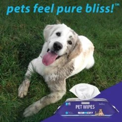 Vetnique Labs Furbliss Pet Wipes Cleansing & Deodorizing Hypoallergenic Paw & Body Dog & Cat Wipes -Pet Wellness 208125 PT7. AC SS1800 V1617409032