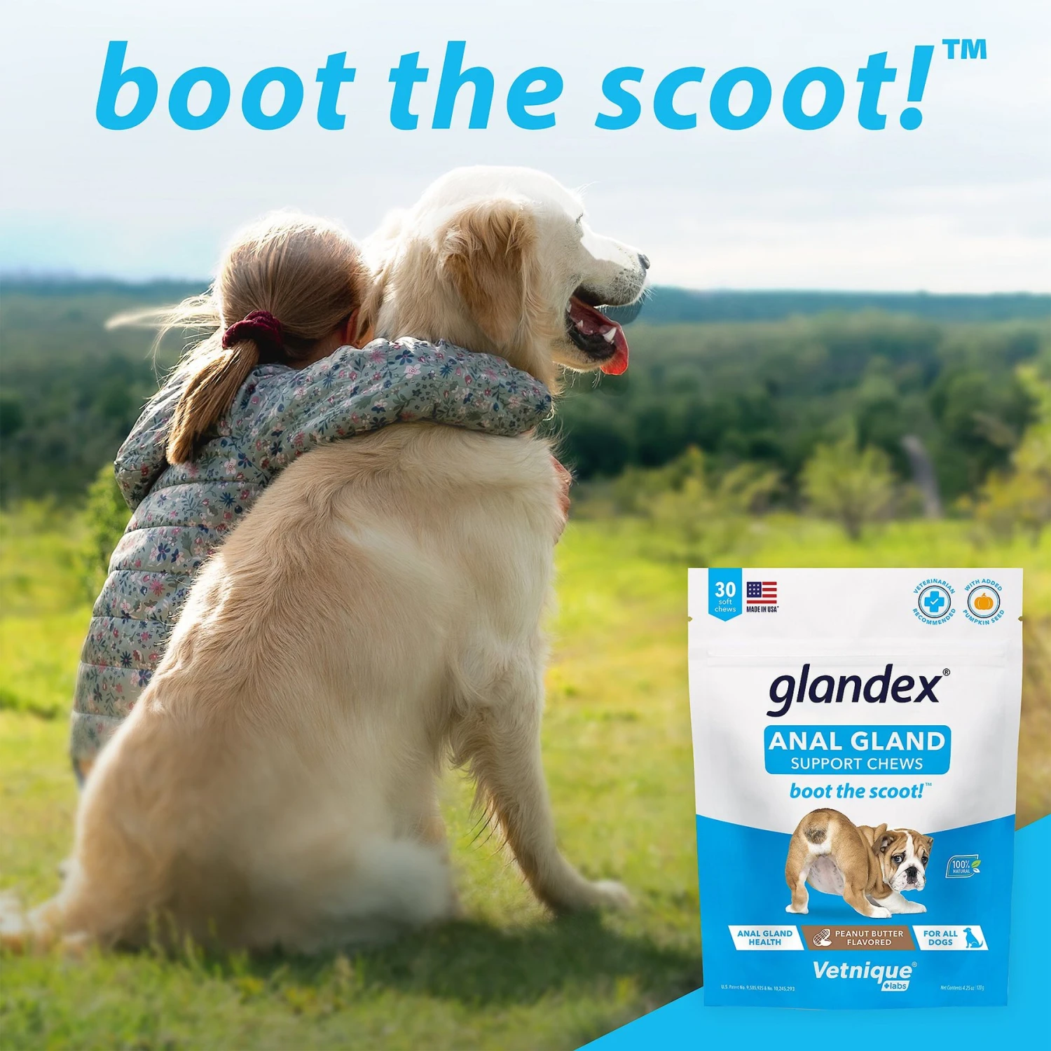 Vetnique Labs Glandex Anal Gland & Probiotic Pork Flavored Pumpkin Fiber & Digestive Boot The Scoot Soft Chew Dog Supplement 8 Vetnique Labs Glandex Anal Gland & Probiotic Pork Flavored Pumpkin Fiber & Digestive Boot The Scoot Soft Chew Dog Supplement - Image 8