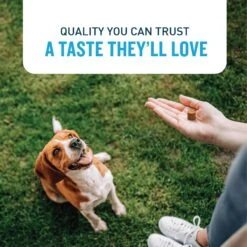 VetIQ Hip & Joint Soft Chew Joint Supplement For Dogs -Pet Wellness 208275 PT4. AC SS1800 V1696540849