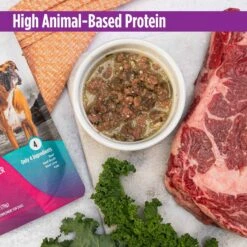 Nulo FreeStyle Beef, Beef Liver, & Kale In Broth Dog Food Topper -Pet Wellness 209727 PT2. AC SS1800 V1666733687