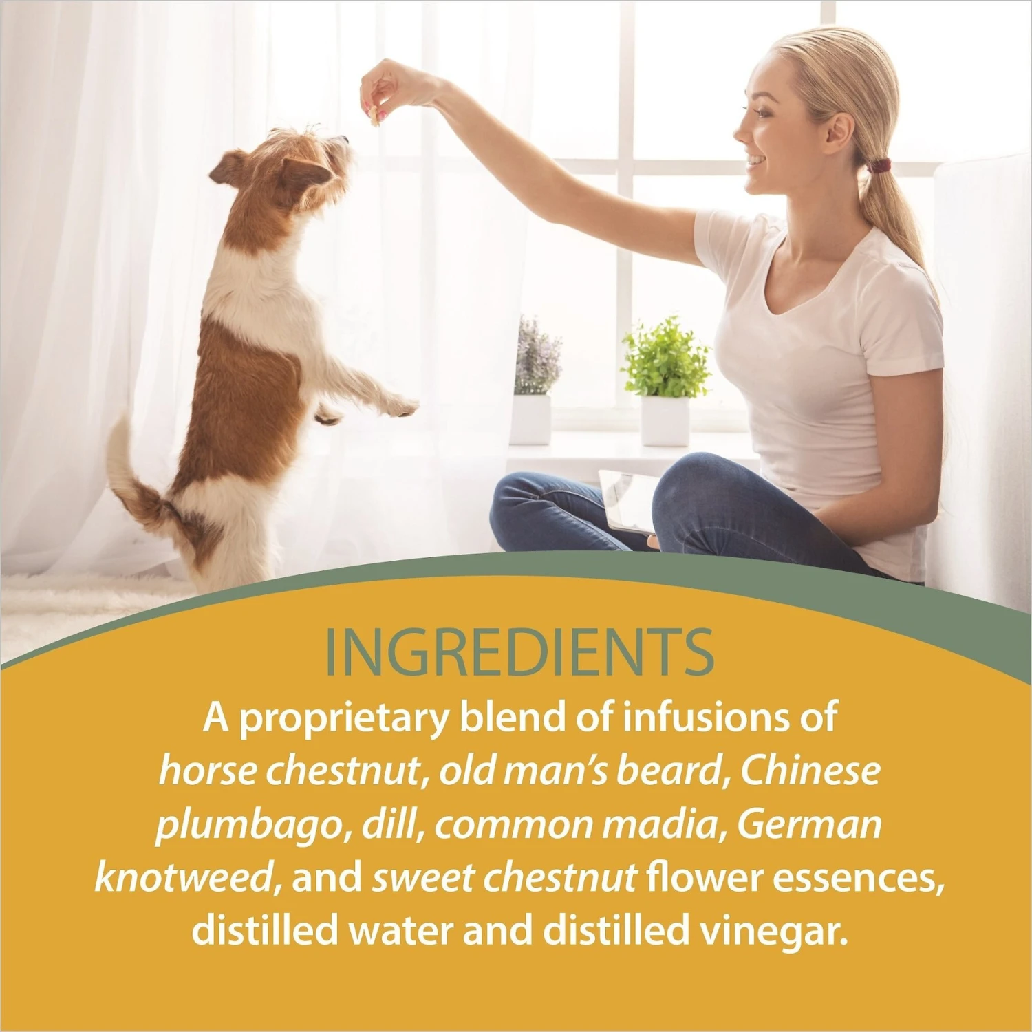 Botanical Animal Flower Essences Clear Thinking Calming Pet Supplement, 1-oz Bottle 5 Botanical Animal Flower Essences Clear Thinking Calming Pet Supplement, 1-oz Bottle - Image 5