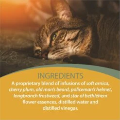 Botanical Animal Flower Essences CrisEase Calming Pet Supplement, 1-oz Bottle 10 Botanical Animal Flower Essences CrisEase Calming Pet Supplement, 1-oz Bottle -Pet Wellness 209743 PT4. AC SS1800 V1617226371