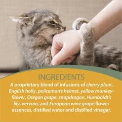 Botanical Animal Flower Essences Devil Be Gone Calming Pet Supplement 10 Botanical Animal Flower Essences Devil Be Gone Calming Pet Supplement -Pet Wellness 209745 PT4. AC SS1800 V1617231128