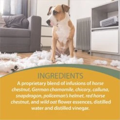 Botanical Animal Flower Essences Easy Does It Calming Pet Supplement, 1-oz Bottle -Pet Wellness 209748 PT4. AC SS1800 V1617227501