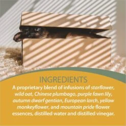 Botanical Animal Flower Essences Ego Builder Calming Pet Supplement, 1-oz Bottle 10 Botanical Animal Flower Essences Ego Builder Calming Pet Supplement, 1-oz Bottle -Pet Wellness 209750 PT4. AC SS1800 V1617227228