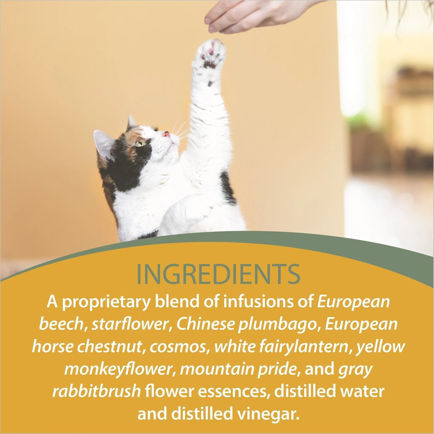 Botanical Animal Flower Essences In Training Calming Pet Supplement, 1-oz Bottle 5 Botanical Animal Flower Essences In Training Calming Pet Supplement, 1-oz Bottle - Image 5