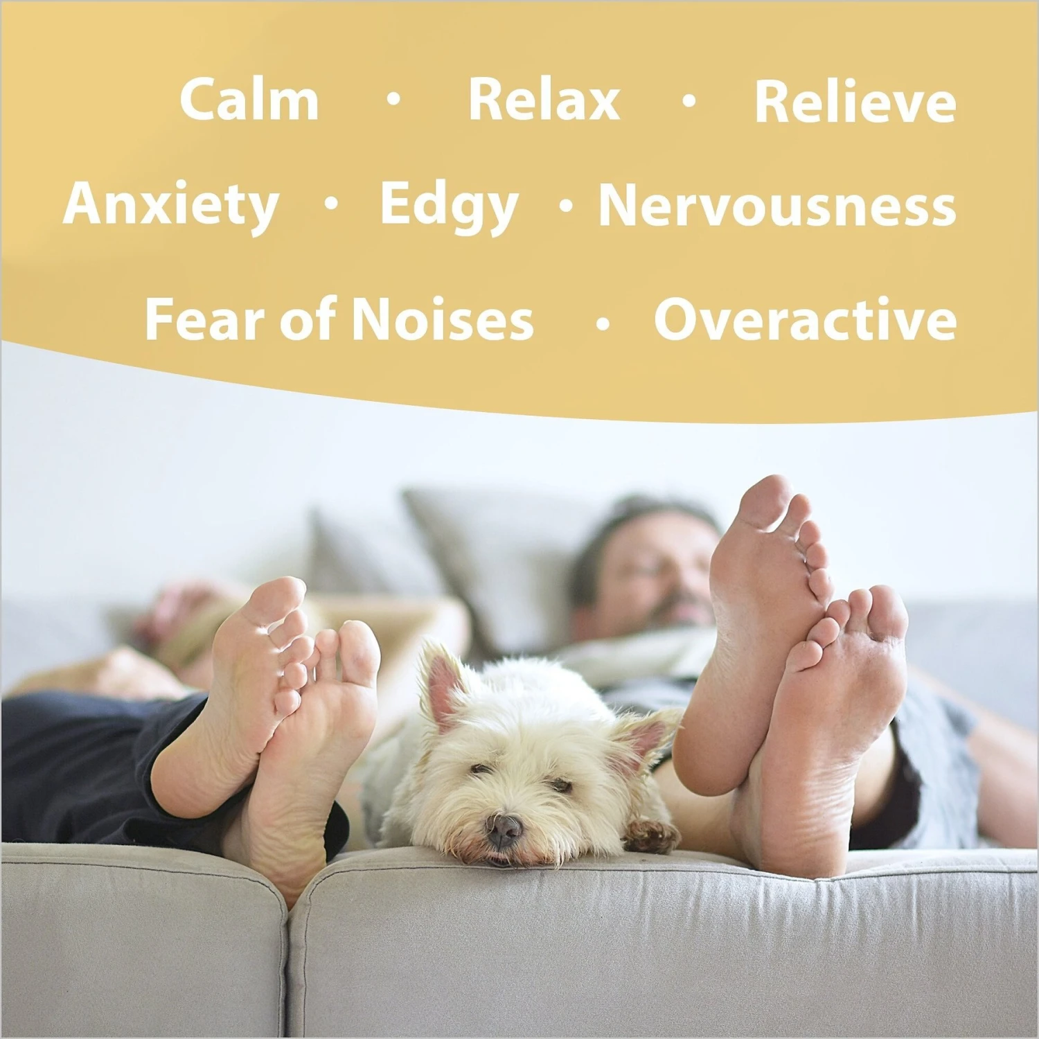 Botanical Animal Flower Essences Mellow Out Calming Pet Supplement 2 Botanical Animal Flower Essences Mellow Out Calming Pet Supplement - Image 2