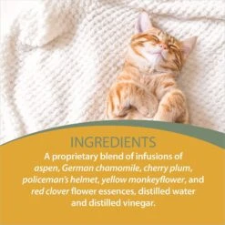 Botanical Animal Flower Essences Mellow Out Calming Pet Supplement 10 Botanical Animal Flower Essences Mellow Out Calming Pet Supplement -Pet Wellness 209758 PT4. AC SS1800 V1617228093