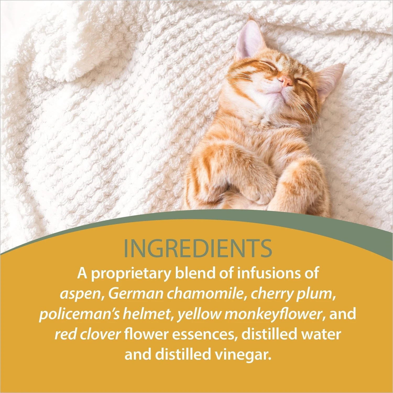 Botanical Animal Flower Essences Mellow Out Calming Pet Supplement 5 Botanical Animal Flower Essences Mellow Out Calming Pet Supplement - Image 5