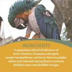 Botanical Animal Flower Essences Obsess Less Calming Pet Supplement, 1-oz Bottle 9 Botanical Animal Flower Essences Obsess Less Calming Pet Supplement, 1-oz Bottle -Pet Wellness 209761 PT4. AC SS1800 V1617231440