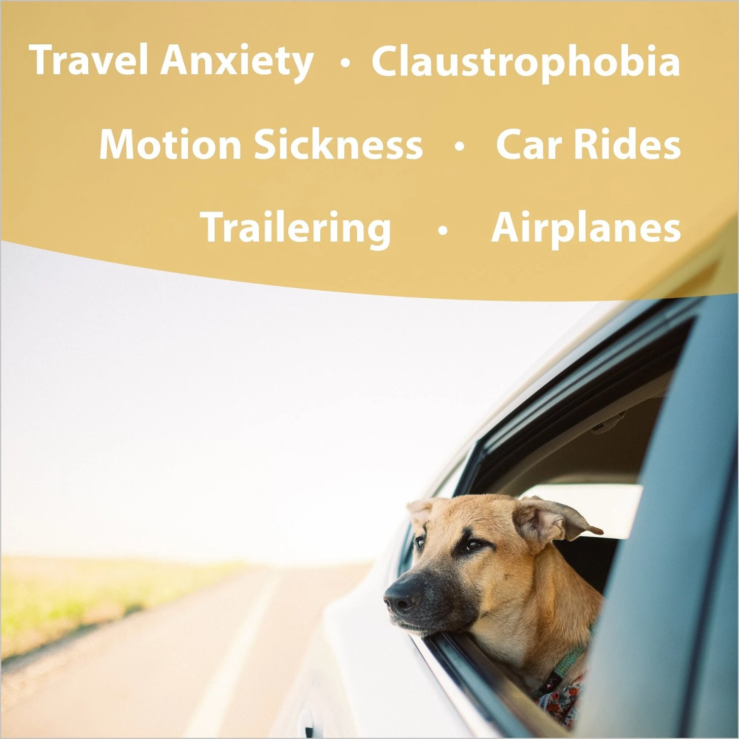 Botanical Animal Flower Essences Safe Journey Calming Pet Supplement, 1-oz Bottle 2 Botanical Animal Flower Essences Safe Journey Calming Pet Supplement, 1-oz Bottle - Image 2