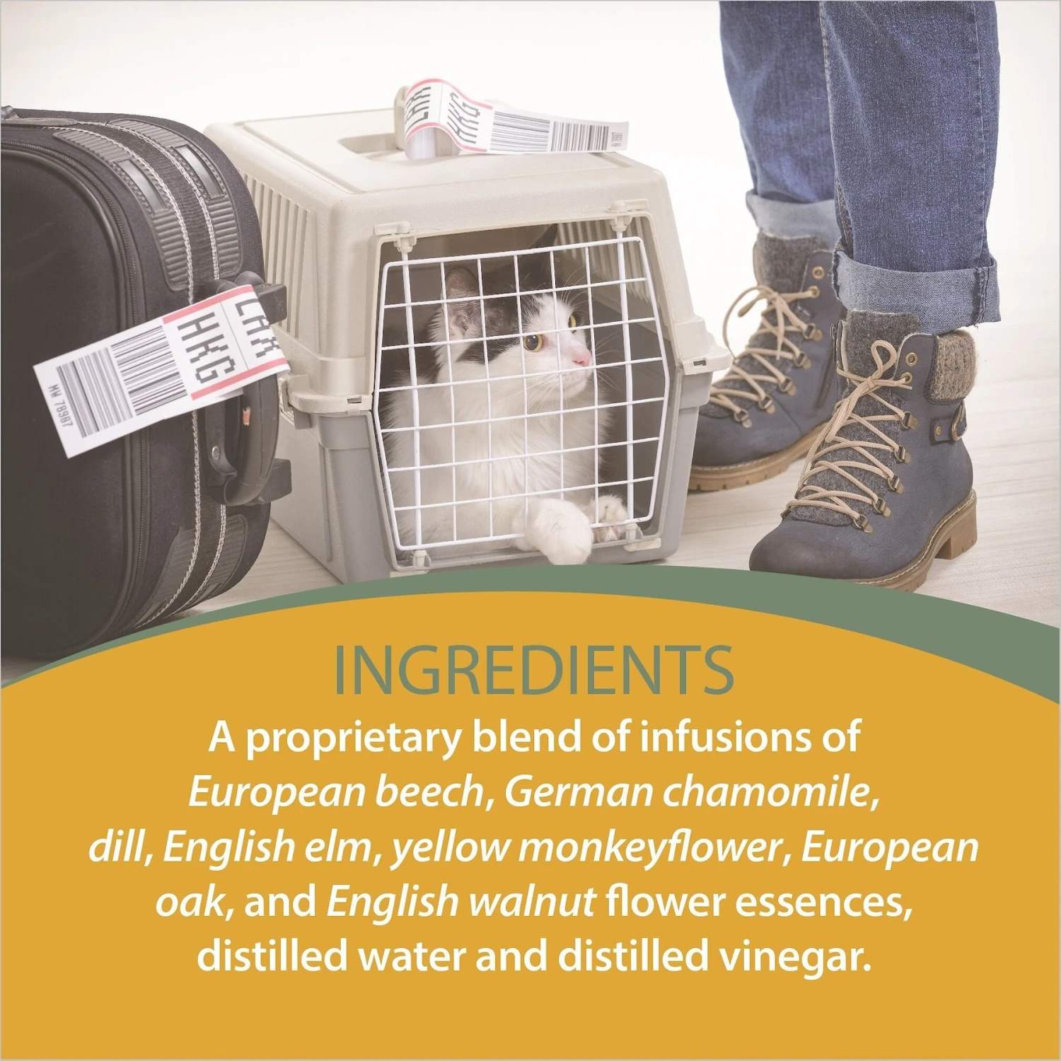 Botanical Animal Flower Essences Safe Journey Calming Pet Supplement, 1-oz Bottle 5 Botanical Animal Flower Essences Safe Journey Calming Pet Supplement, 1-oz Bottle - Image 5