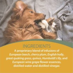Botanical Animal Flower Essences Sibling Rivalry Calming Pet Supplement 10 Botanical Animal Flower Essences Sibling Rivalry Calming Pet Supplement -Pet Wellness 209767 PT4. AC SS1800 V1617232376