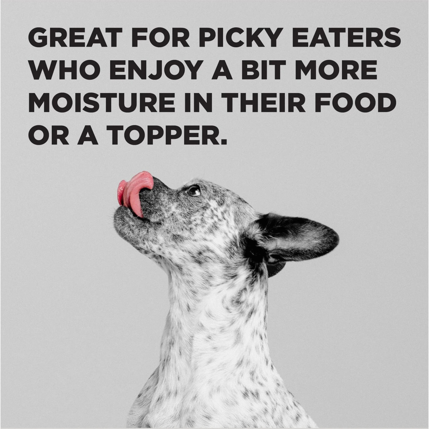 BIXBI Liberty Limited Ingredient Beef Recipe Canned Dog Food, 12.5-oz Can, Case Of 12 4 BIXBI Liberty Limited Ingredient Beef Recipe Canned Dog Food, 12.5-oz Can, Case Of 12 - Image 4