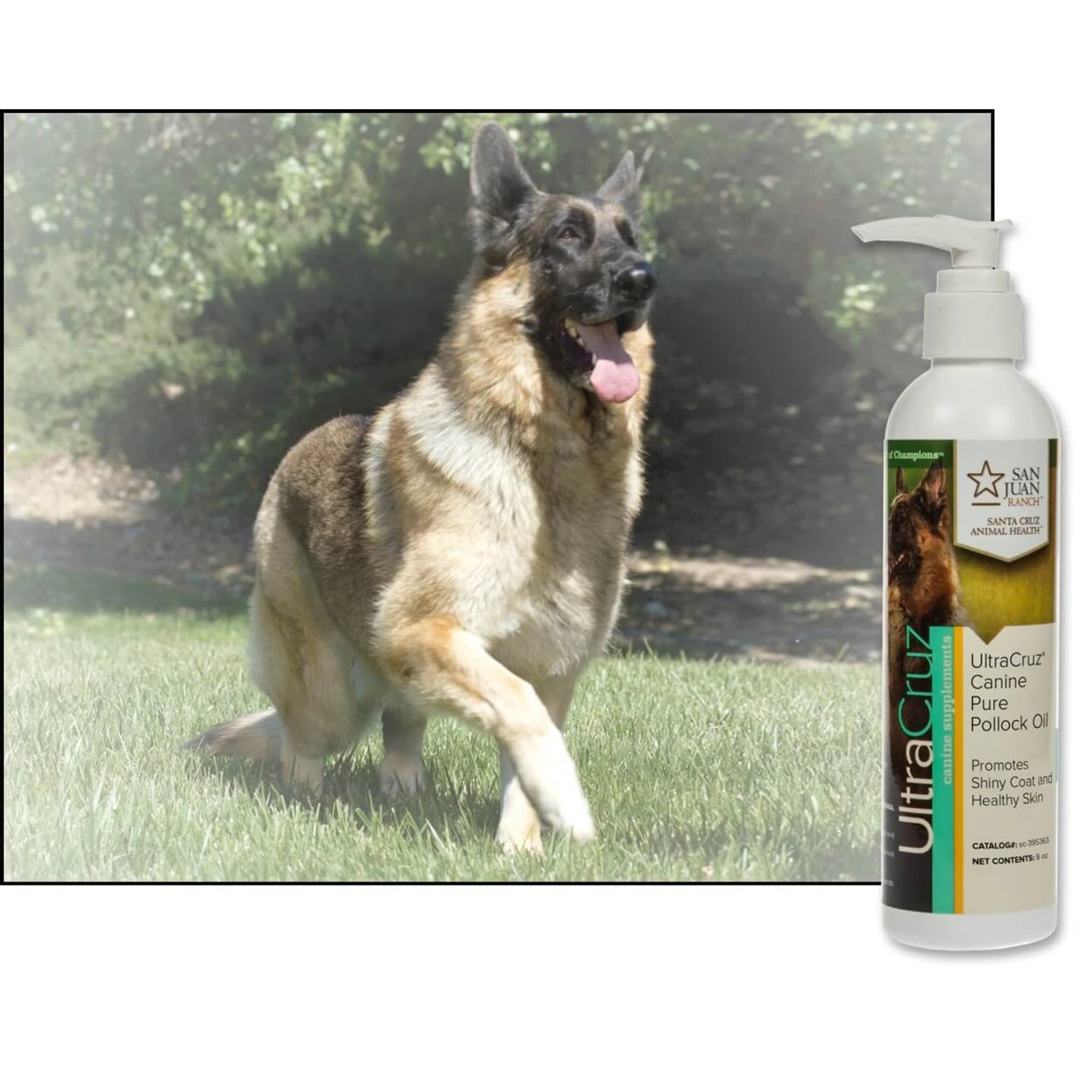 UltraCruz Pure Pollock Oil Dog Supplement 2 UltraCruz Pure Pollock Oil Dog Supplement - Image 2