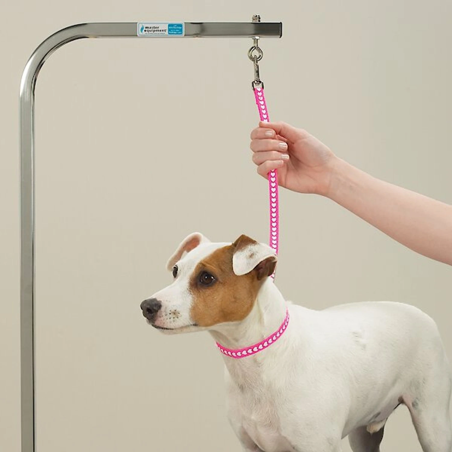 Top Performance Basic Screen Print Grooming Loops, 18-in, 4 Count 2 Top Performance Basic Screen Print Grooming Loops, 18-in, 4 Count - Image 2