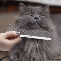 Babyliss Pro Pet Carding Pet Comb -Pet Wellness 211775 PT2. AC SS1800 V1657656294