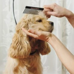 Babyliss Pro Pet Pet Comb, Rose Gold 7 Babyliss Pro Pet Pet Comb, Rose Gold -Pet Wellness 211785 PT2. AC SS1800 V1689614734