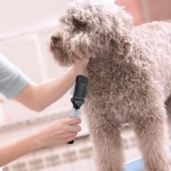 Babyliss Pro Pet Flex Slicker Pet Brush -Pet Wellness 211793 PT6. AC SS1800 V1651510612