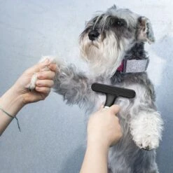 Babyliss Pro Pet Double Row Pet Rake -Pet Wellness 211800 PT4. AC SS1800 V1680729955