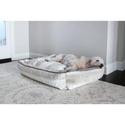 Stazko Damaged Hair Dog & Cat Conditioner -Pet Wellness 212559 PT6. AC SS1800 V1611089151