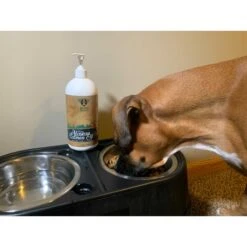 Soothe By BuddyRest Wild Alaskan Salmon Oil Dog Supplement -Pet Wellness 212884 PT4. AC SS1800 V1611089181