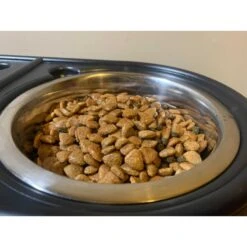 Soothe By BuddyRest Wild Alaskan Salmon Oil Dog Supplement -Pet Wellness 212884 PT6. AC SS1800 V1611089197