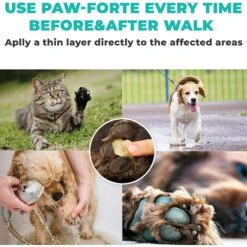 Forticept Paw-Forte Antimicrobial Paw & Nose Dog & Cat Protection Balm, 3-oz Tin -Pet Wellness 214547 PT3. AC SS1800 V1678713592