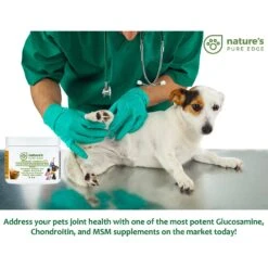 Nature's Pure Edge Hip & Joint & Tumeric Dog & Cat Supplement, 6-oz Jar -Pet Wellness 214956 PT2. AC SS1800 V1576857500