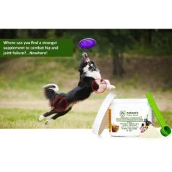 Nature's Pure Edge Hip & Joint & Tumeric Dog & Cat Supplement, 6-oz Jar -Pet Wellness 214956 PT3. AC SS1800 V1576857502