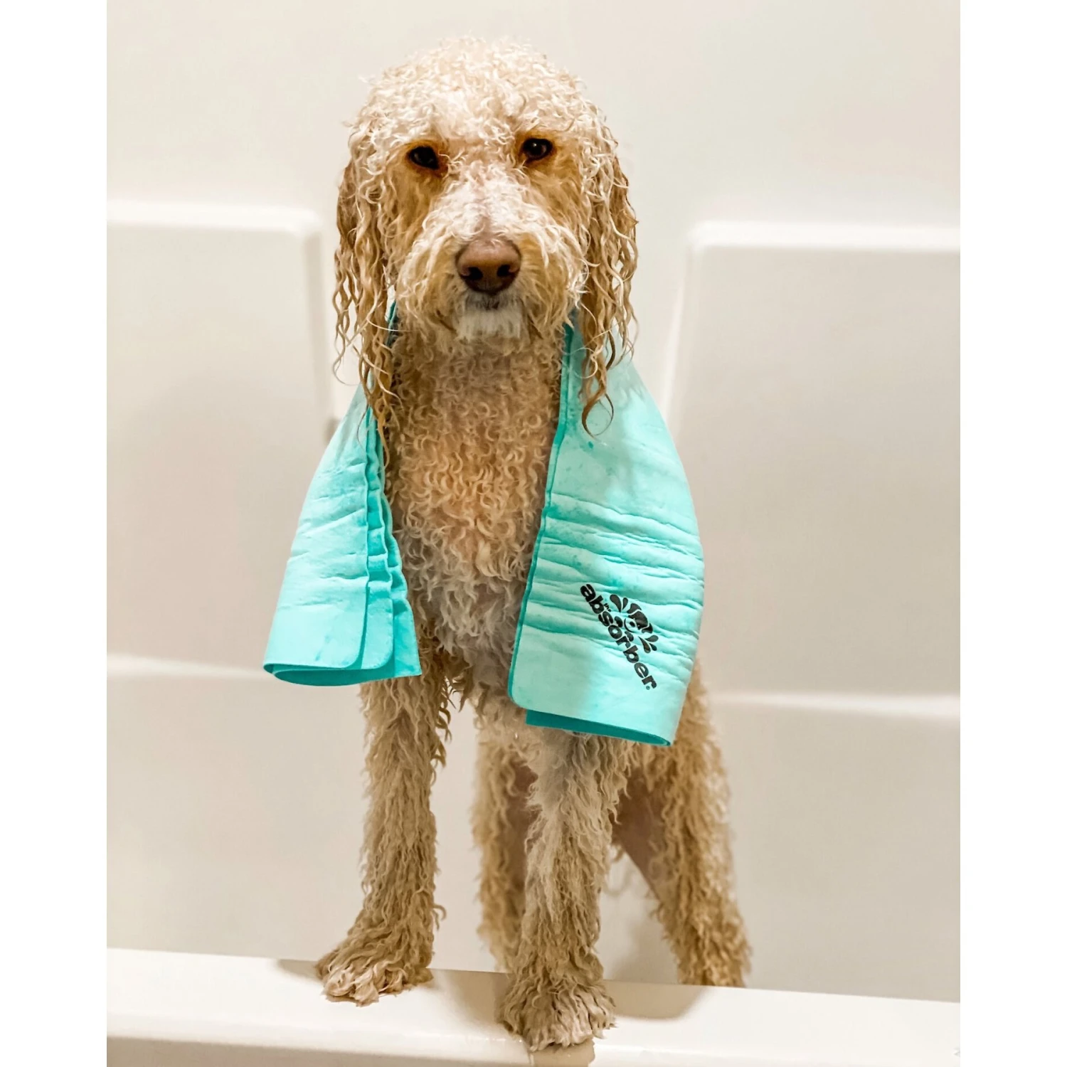 The Absorber MAX Pet Towel 3 The Absorber MAX Pet Towel - Image 3